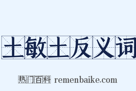 土敏土反义词是什么意思的图片